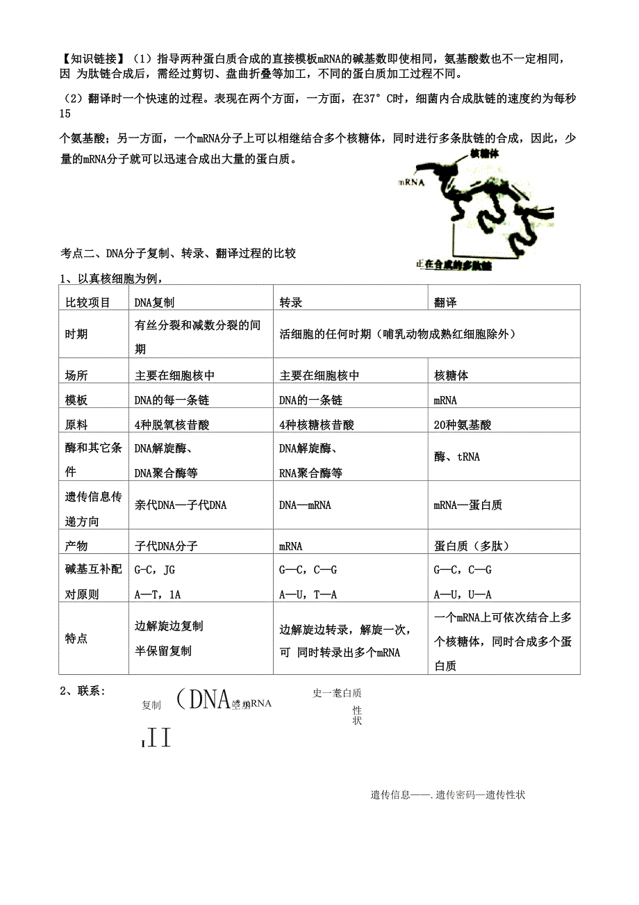 基因指导蛋白质的合成_第2页