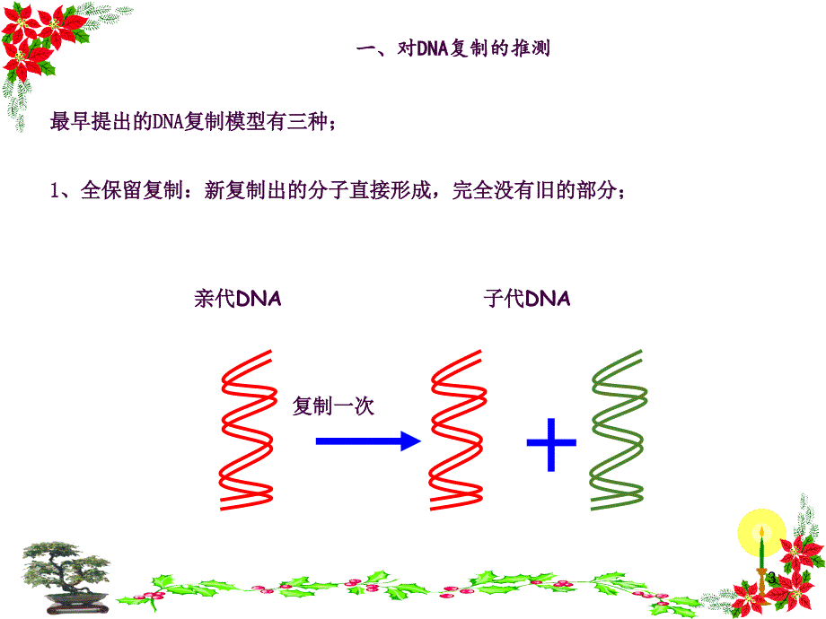 DNA分子的复制2ppt课件_第2页