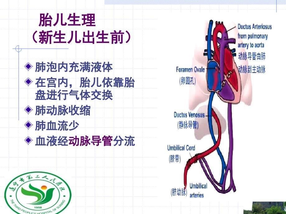 新生儿窒息讲稿1_第5页