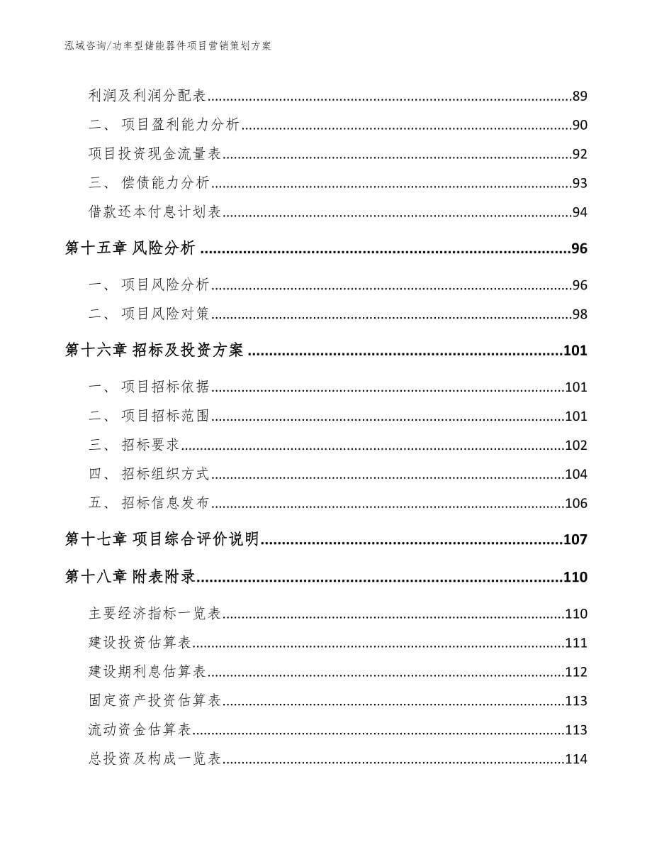 功率型储能器件项目营销策划方案模板_第5页