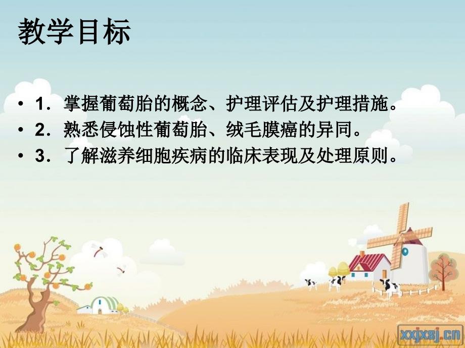 妊娠滋养细胞疾病护理.ppt_第4页