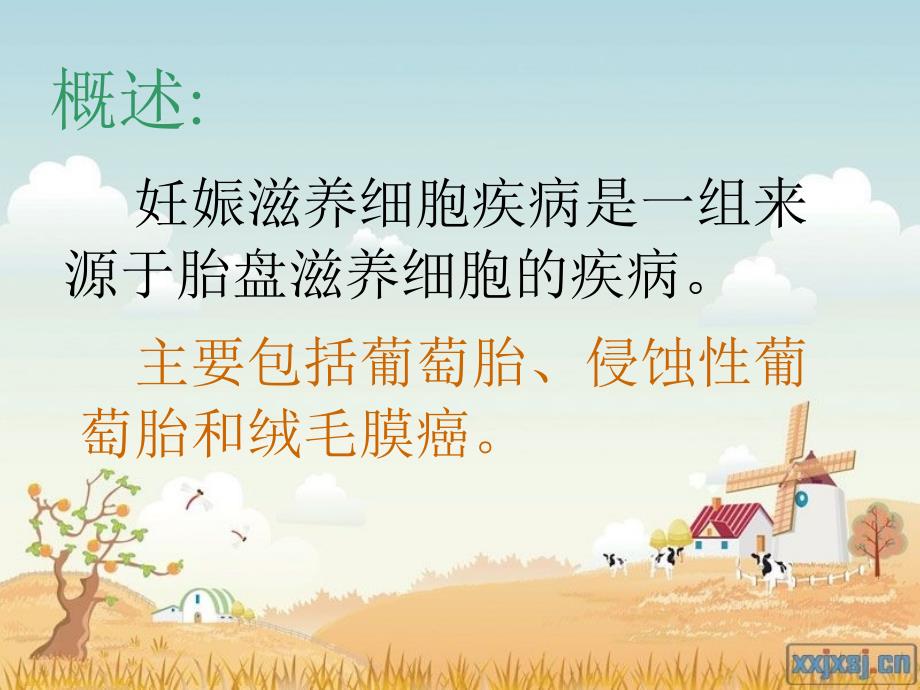 妊娠滋养细胞疾病护理.ppt_第5页