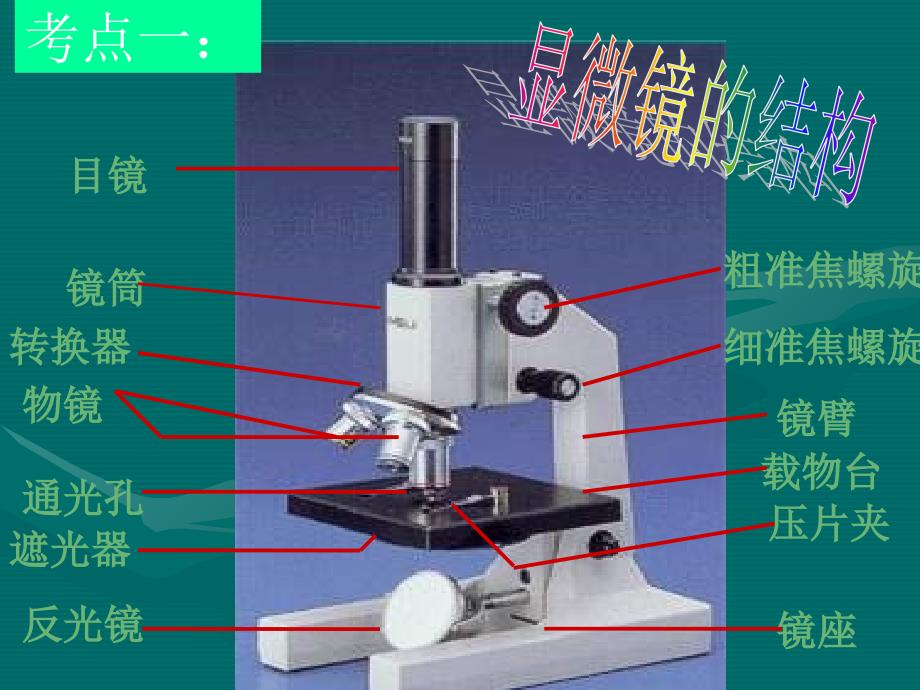 细胞是生命活动的基本单位_第3页