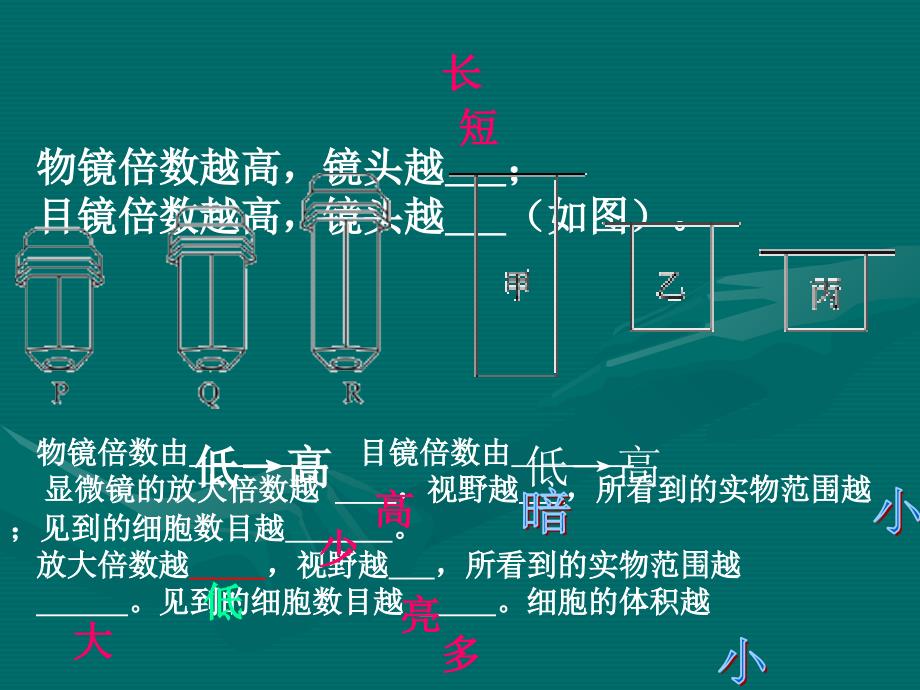 细胞是生命活动的基本单位_第4页