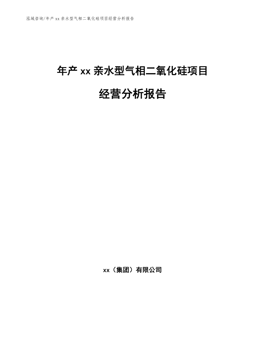 年产xx亲水型气相二氧化硅项目经营分析报告（模板）_第1页