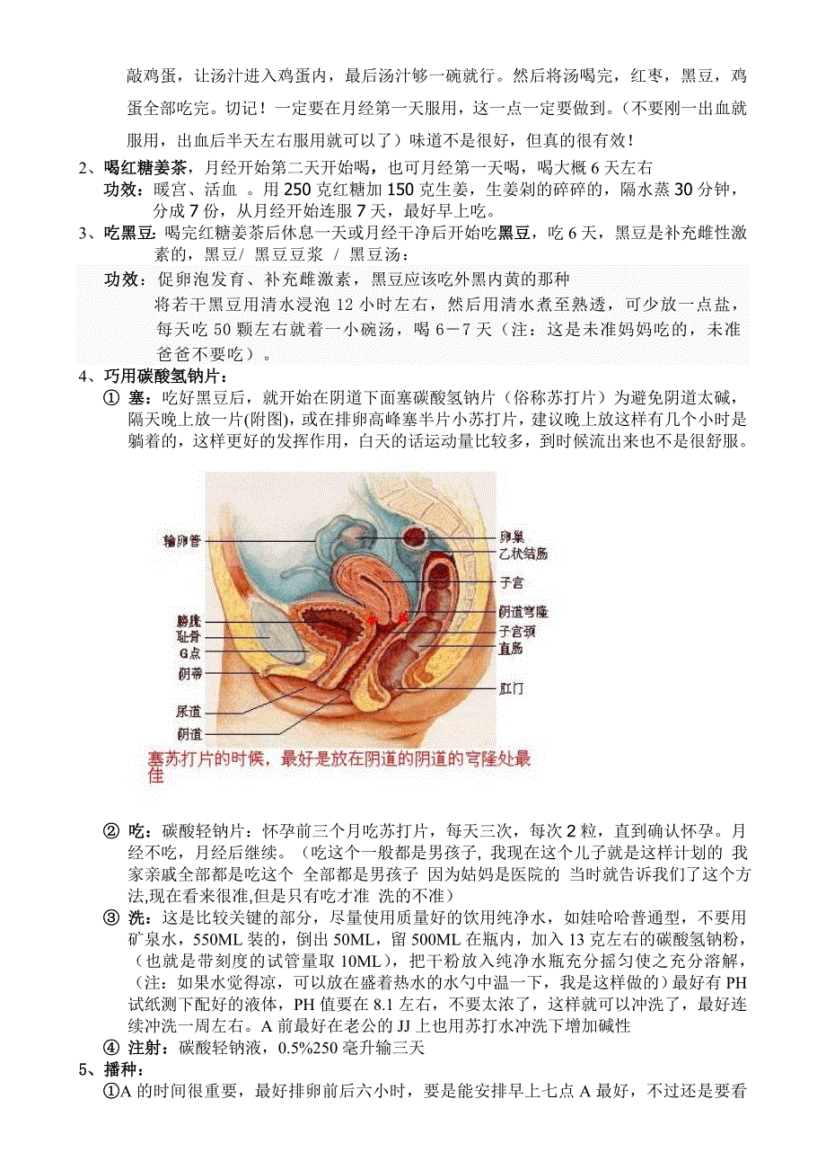 生儿备孕资料.doc_第2页