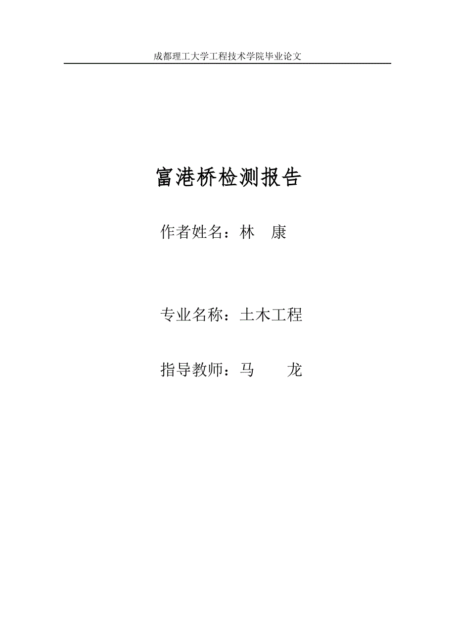 富港桥检测报告.doc_第1页