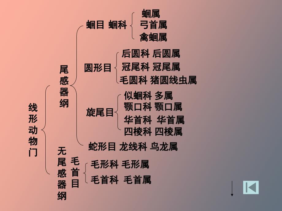 寄生虫学的系统性与学习方法_第4页