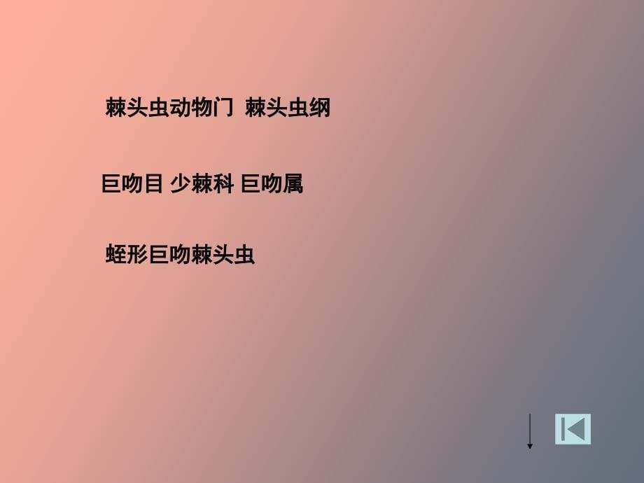 寄生虫学的系统性与学习方法_第5页