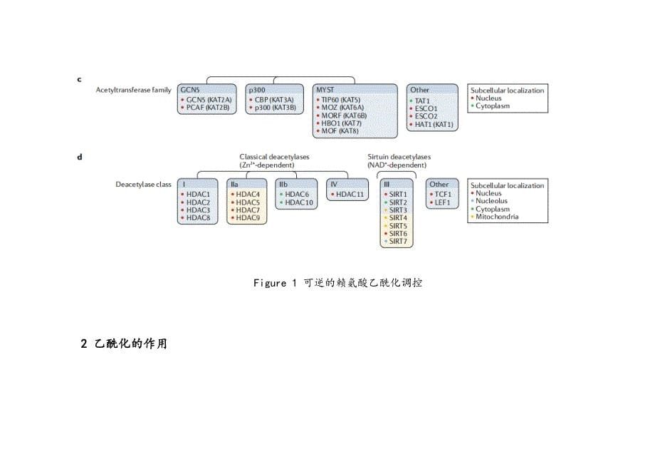 非组蛋白乙酰化修饰的功能与机制_第5页