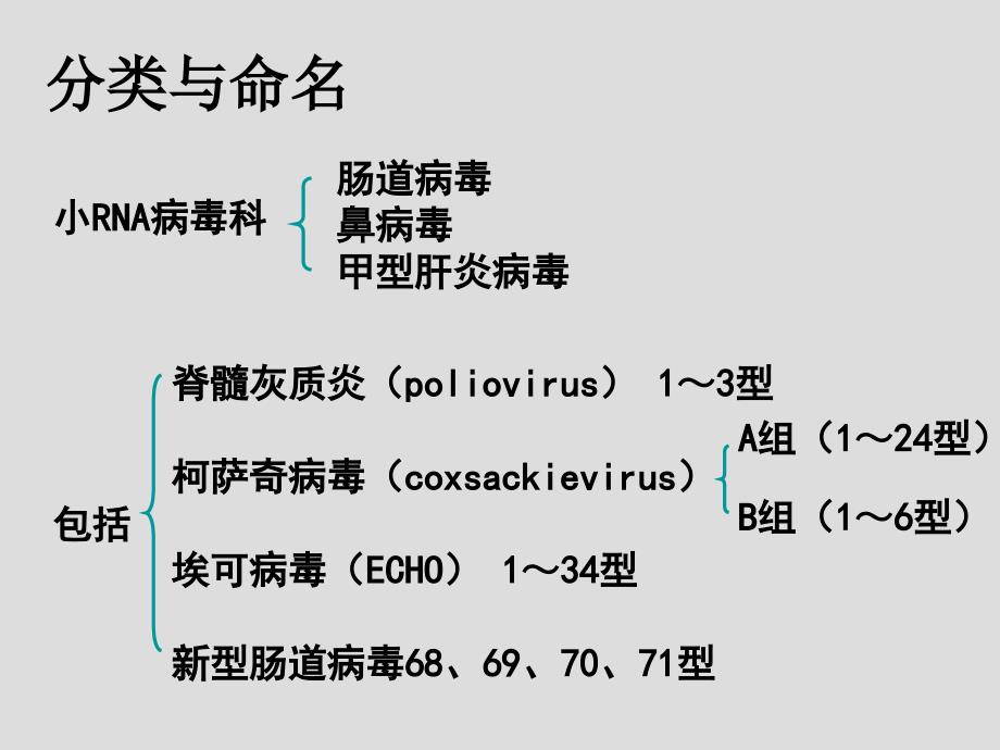 肠道感染病毒课件_第4页