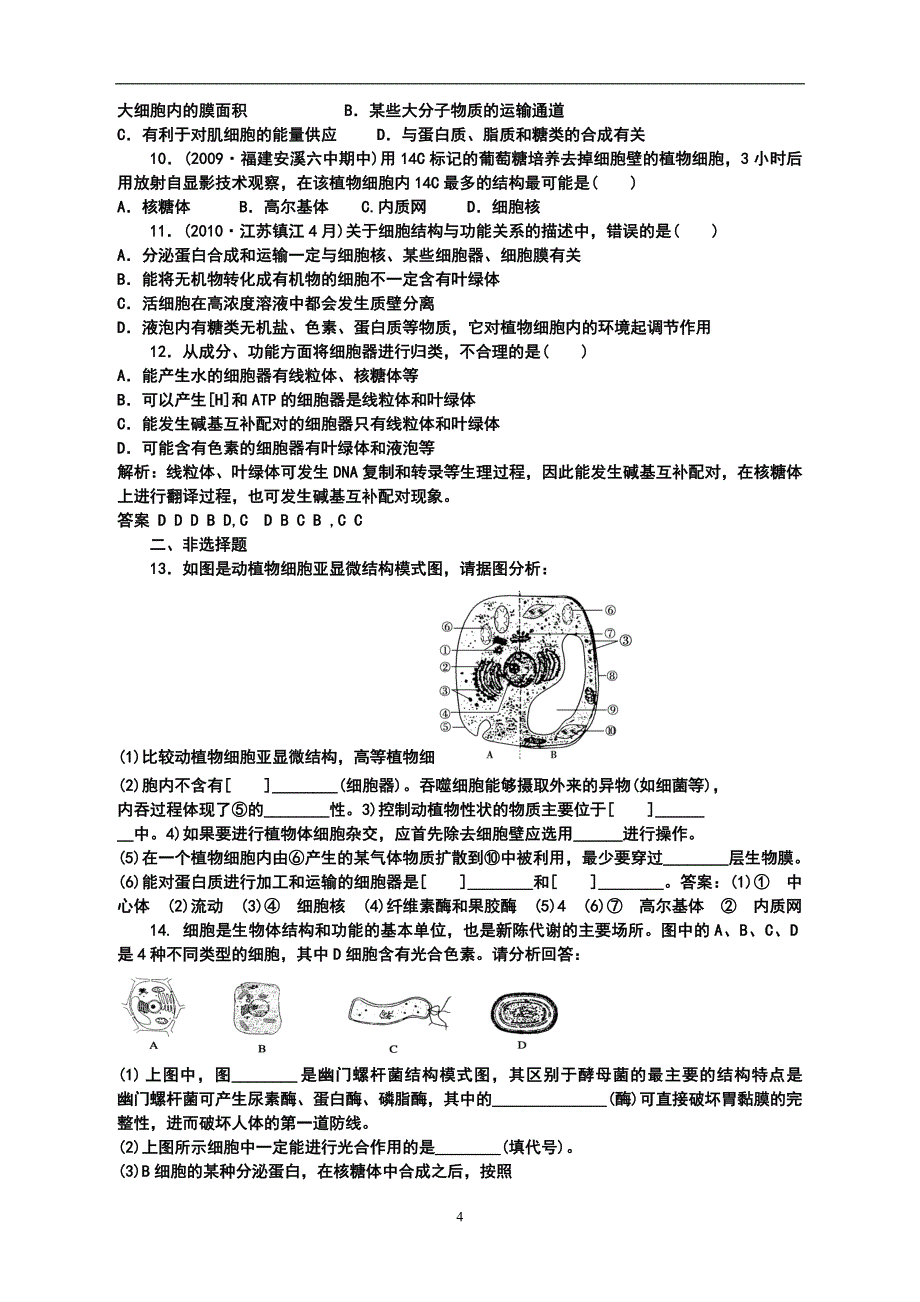 原核细胞与真核细胞的比较.doc_第4页