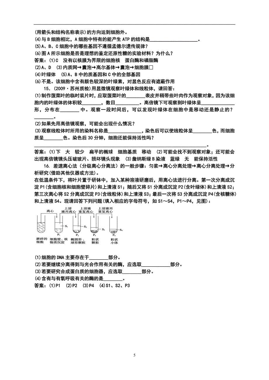 原核细胞与真核细胞的比较.doc_第5页