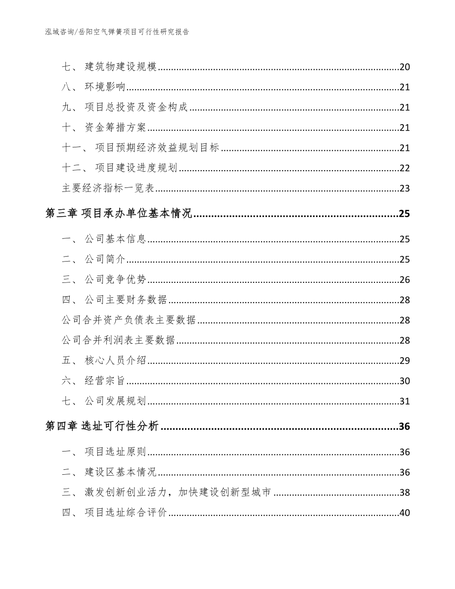 岳阳空气弹簧项目可行性研究报告（参考范文）_第3页