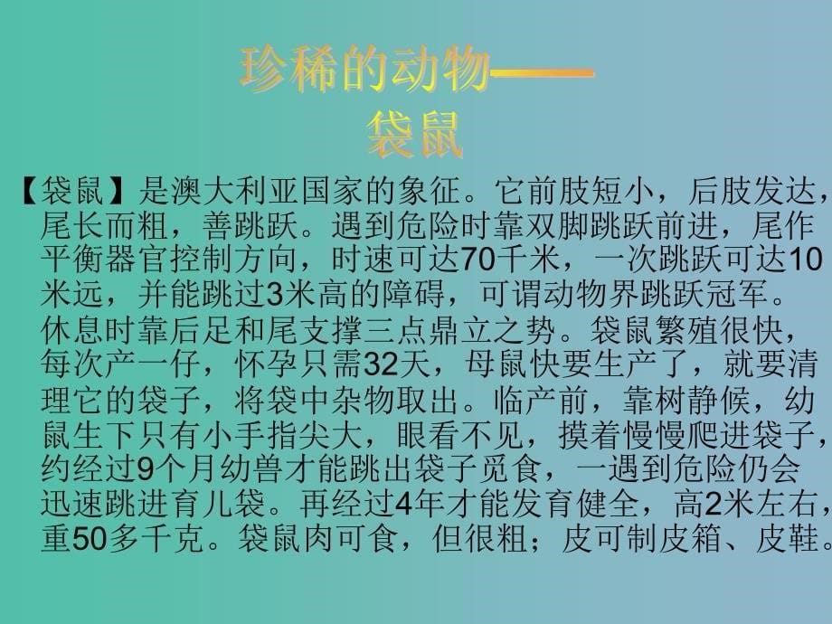 六年级品社下册环绕地球看世界课件3北师大版_第5页