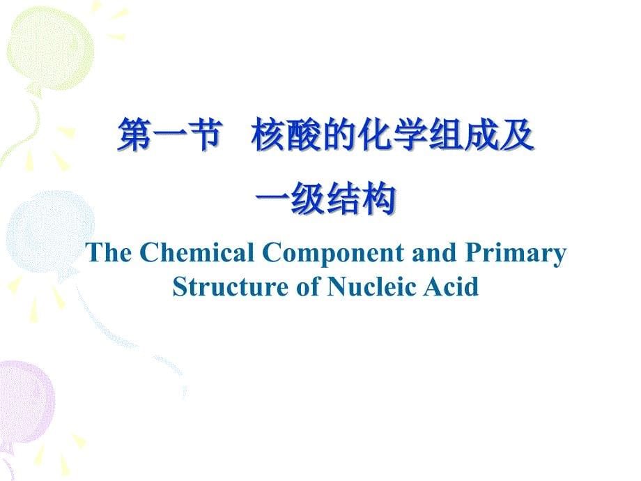 生物化学周爱儒第六版第二章核酸的结构与功能_第5页