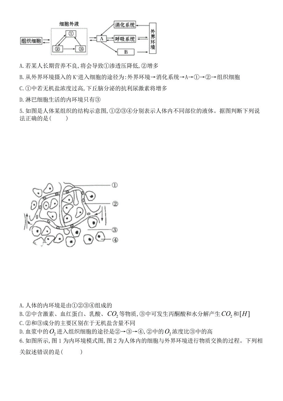 河北省衡水市桃城区第十四中学2019-2020学年高一生物下学期一调考试试题_第2页