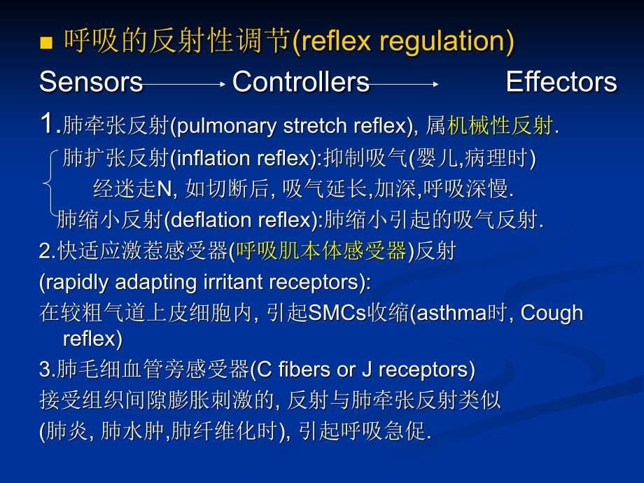 生理学课件：6-3呼吸系统_第5页