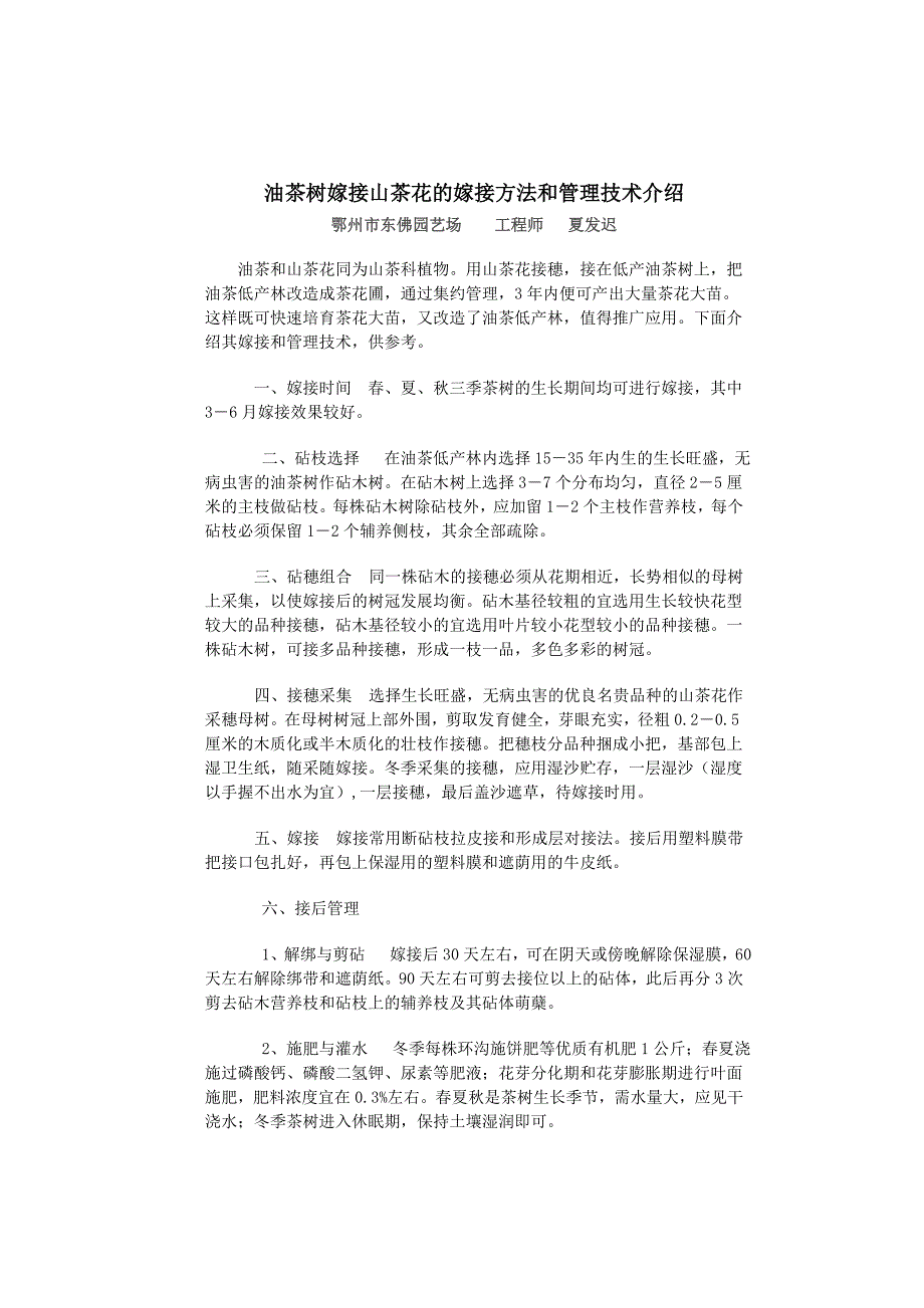 油茶树嫁接山茶花的嫁接方法和管理技术介绍_第1页