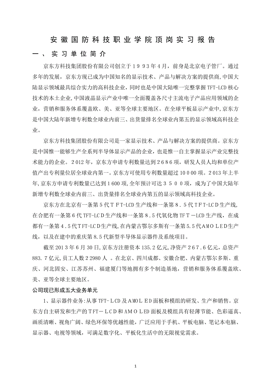 京东方顶岗实习报告_第2页