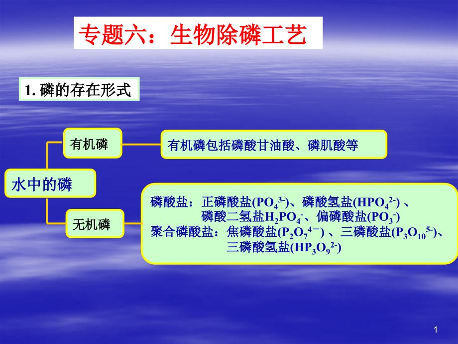 专题六生物除磷工艺_第1页