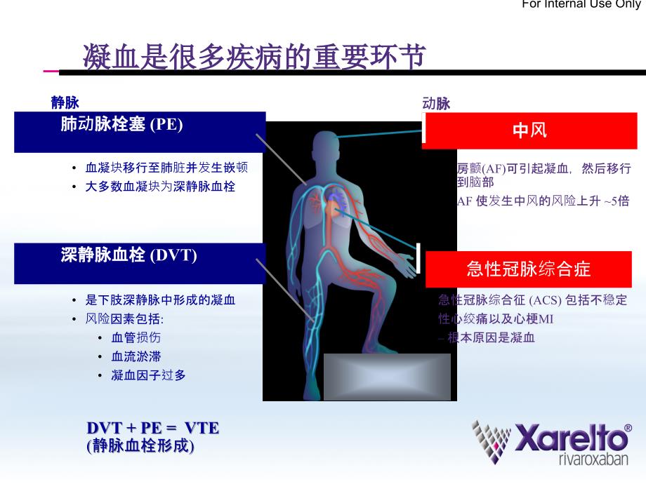 抗凝治疗的新时代课件_第3页