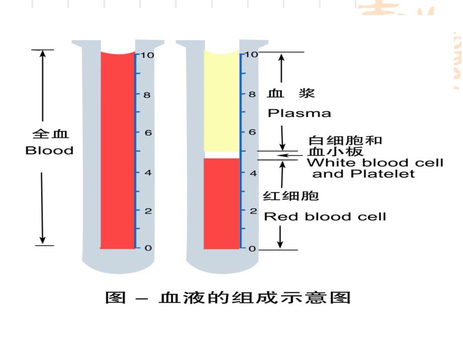 血液非细胞成分的_第3页