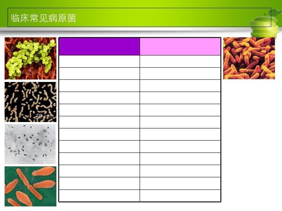 多重耐药菌的判断和解读讲义课件_第5页