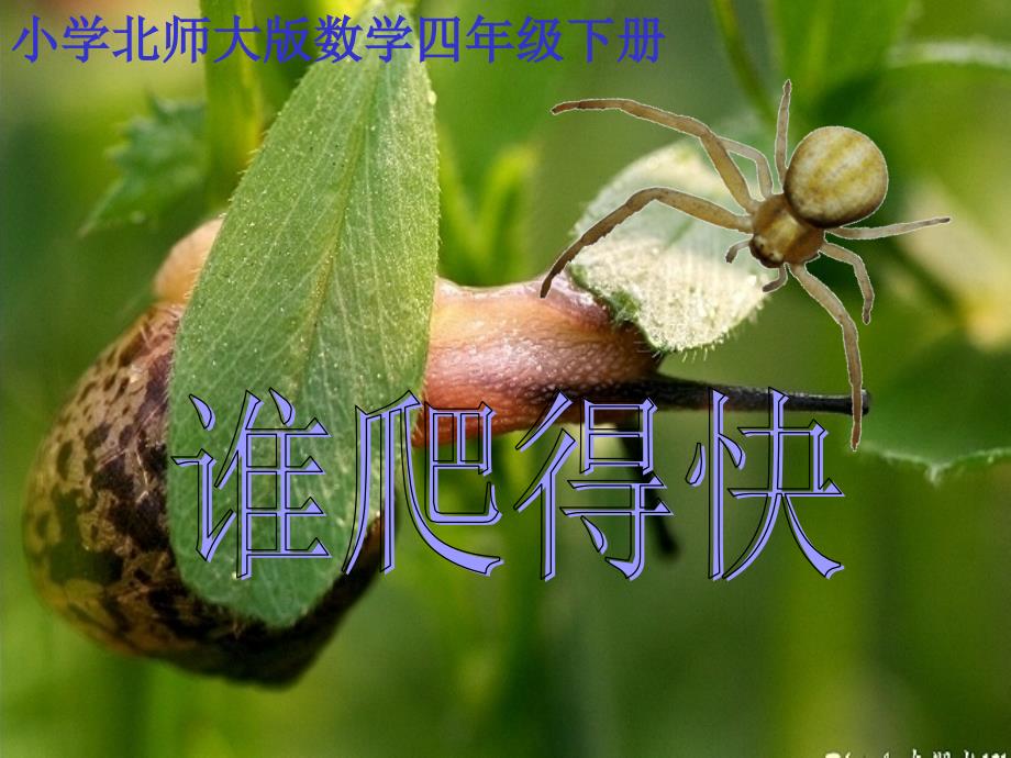 北师大版四年级数学下册课件谁爬得快1_第1页