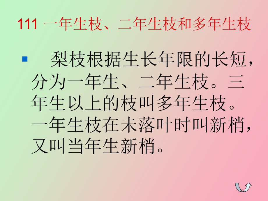 梨树整形修剪图解_第4页