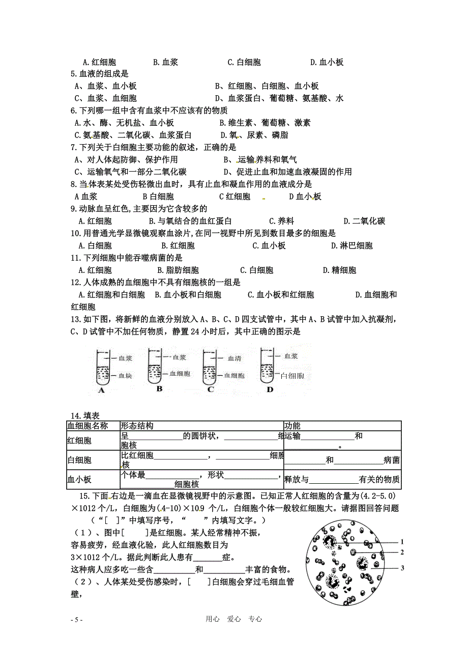 济南版7下休闲练习_第5页