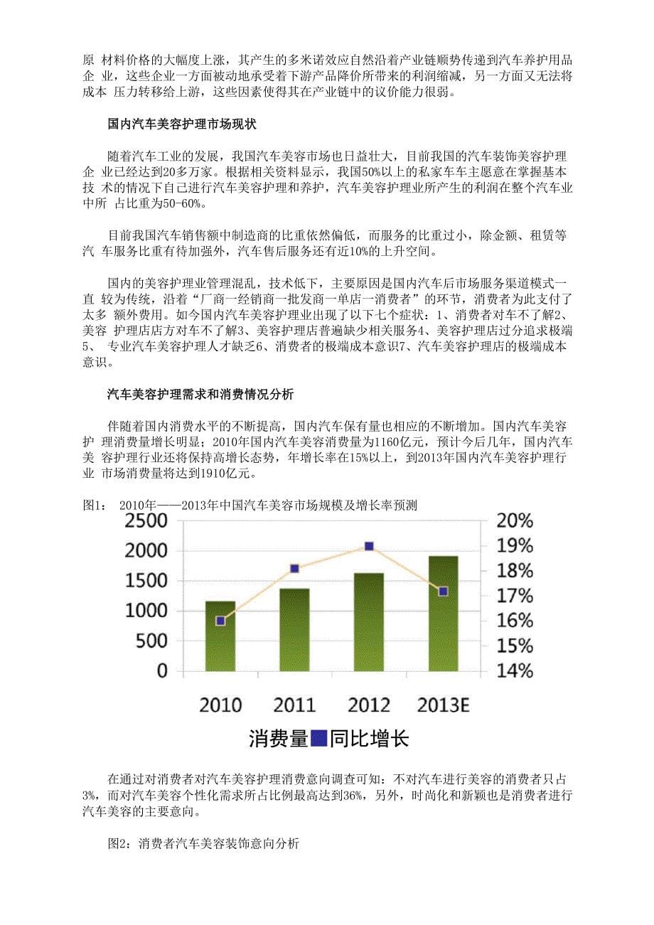 汽车养护用品行业现状分析及市场前景_第5页