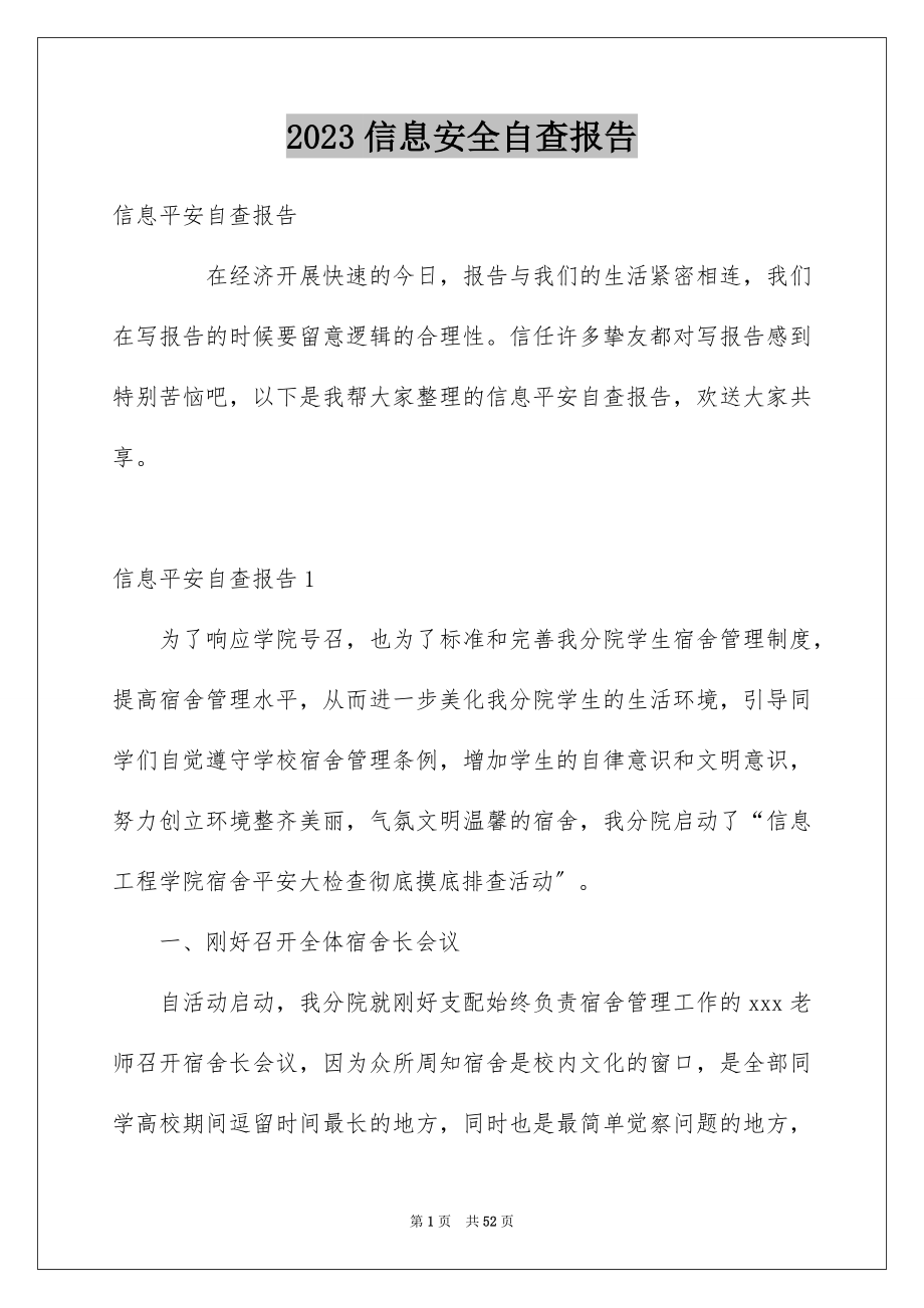 2023年信息安全自查报告.docx_第1页