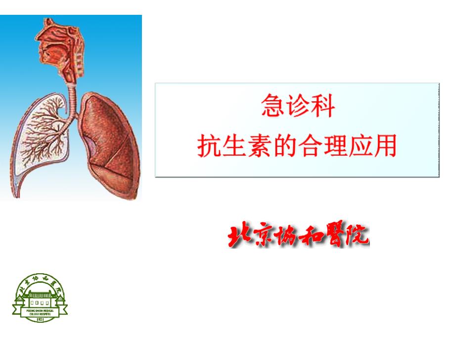 抗生素合理应用全课件_第1页