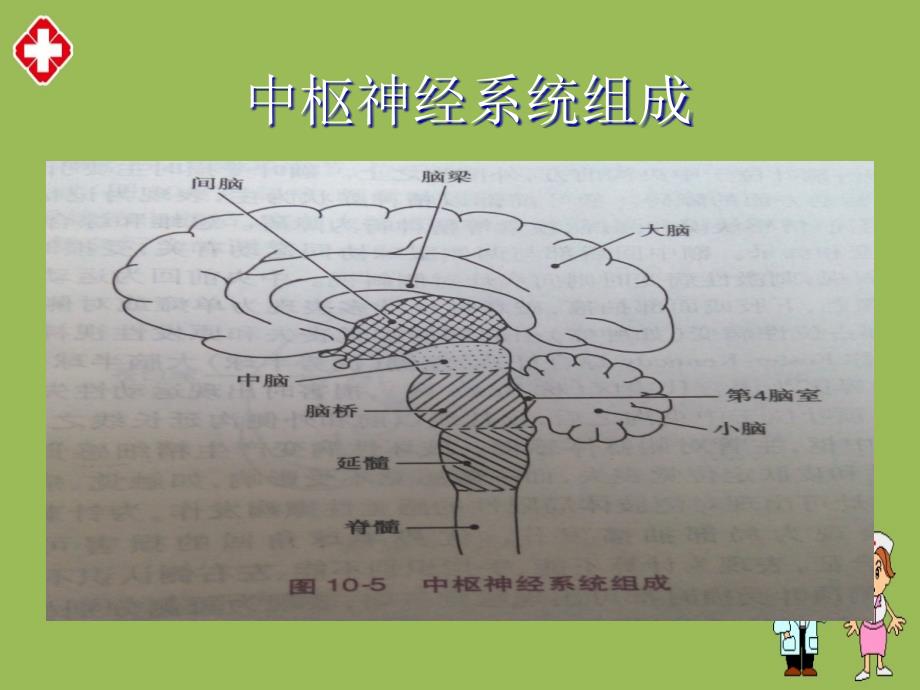 脑出血的护理常规ppt_第4页