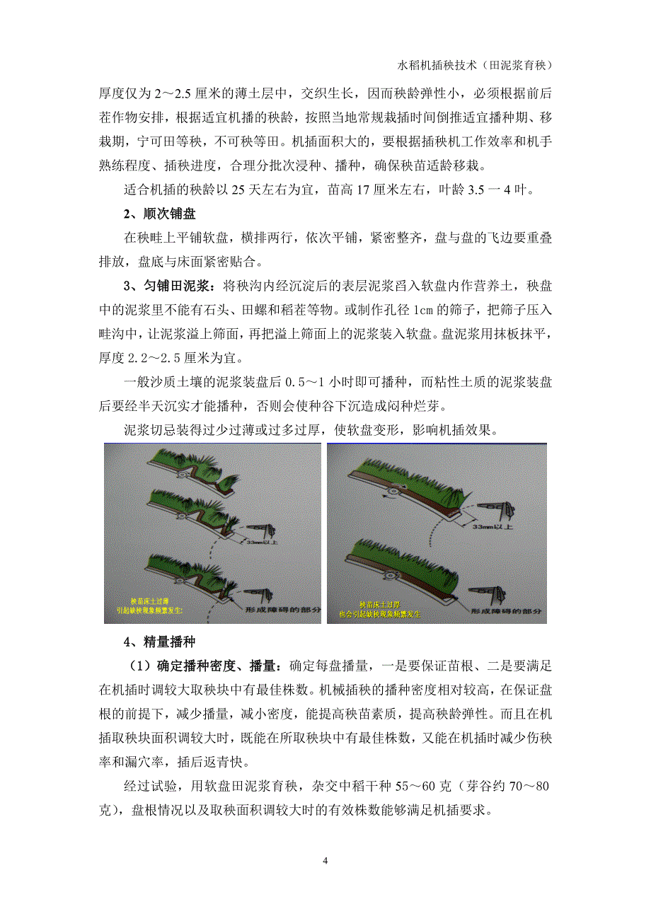 水稻机插秧育秧及台沃肥施用技术要点2013-2-5.doc_第4页