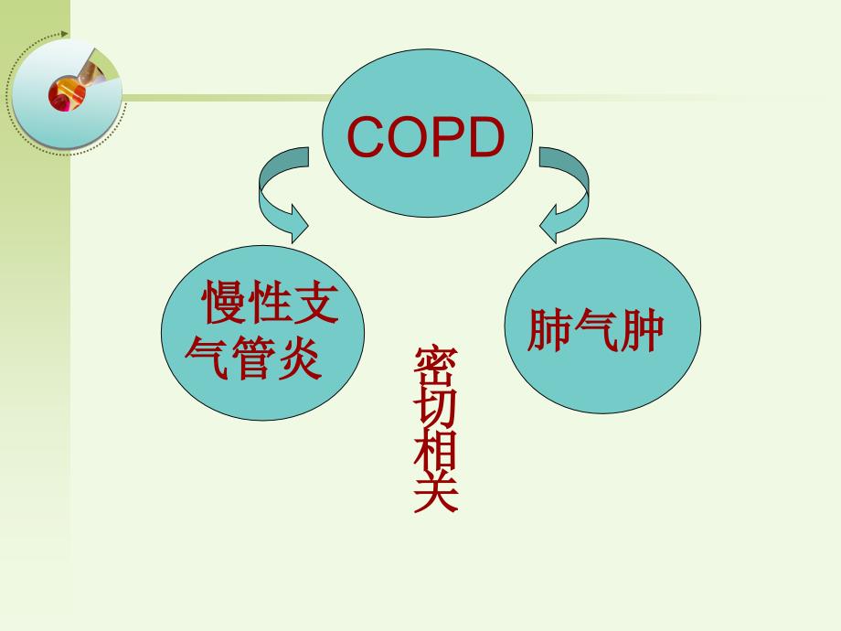 慢阻肺护理查房教学_第4页