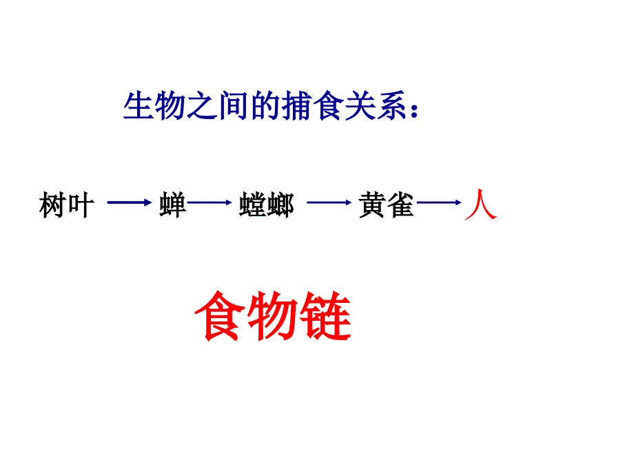 五年级上册科学课件1.5食物链和食物网教科版_第2页