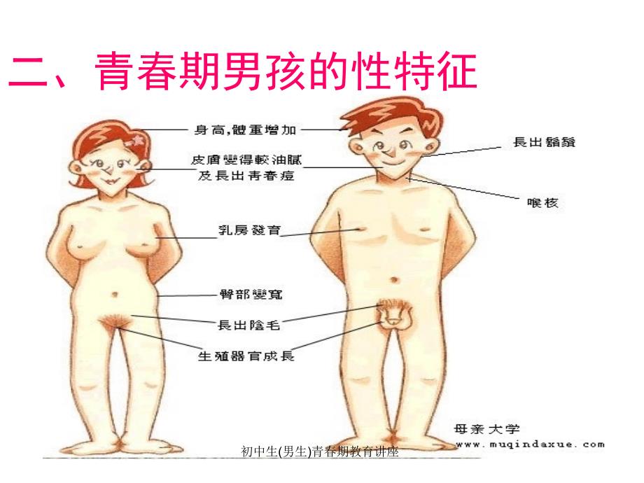 初中生男生青期教育讲座_第4页