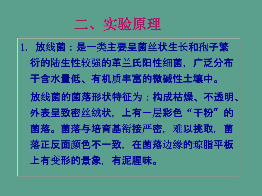 实验四放线菌酵母和霉菌形态的观察ppt课件_第4页