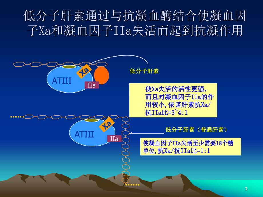 低分子肝素是不同的.ppt_第3页