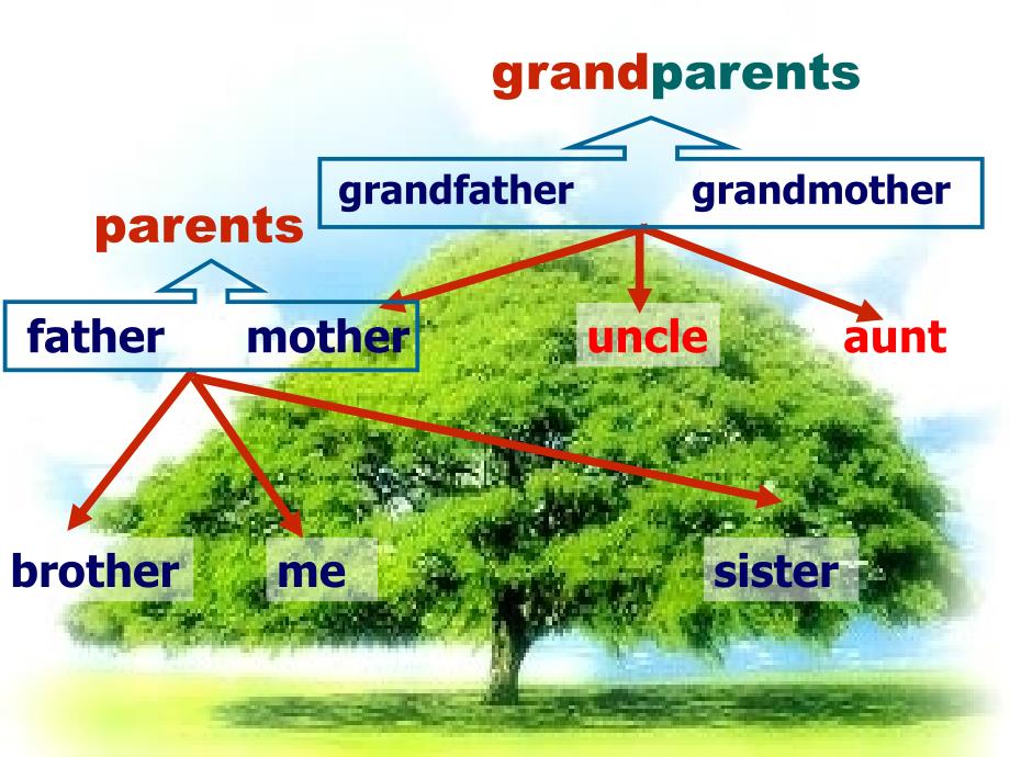 unit6meetmyfamilyPartALet’slearnPPT_第4页