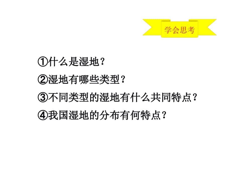 湘教版高中地理课件《湿地资源的开发与保护》_第5页