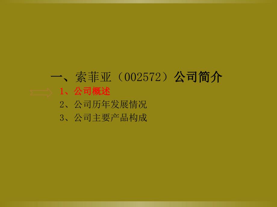 某品牌商业模式及财务分析_第3页