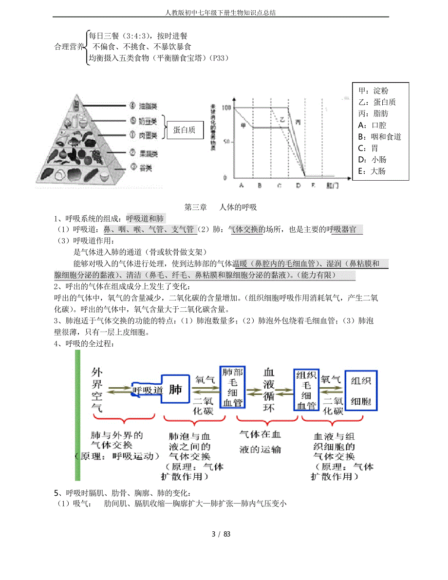 人教版初中七年级下册生物知识点总结_第3页