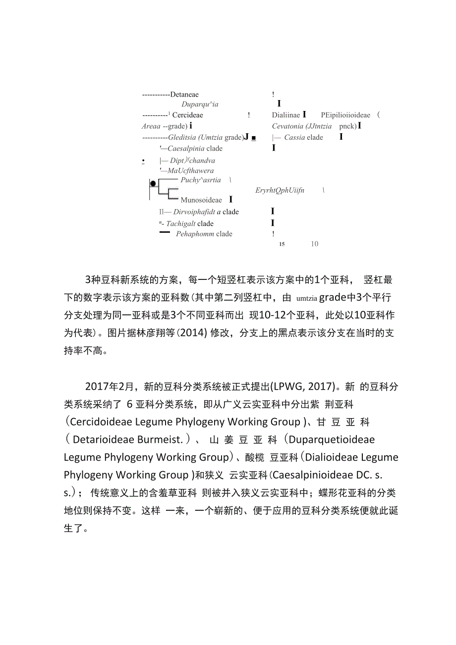 豆科亚科分类系统变迁_第2页