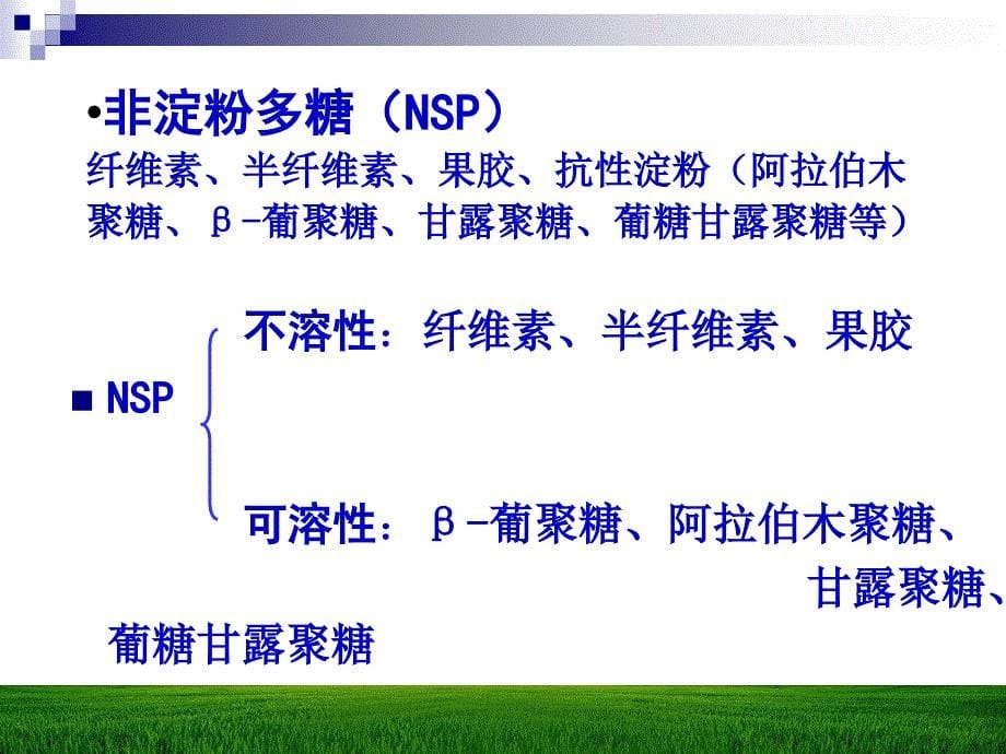 碳水化合物与动物营养.PPT_第5页