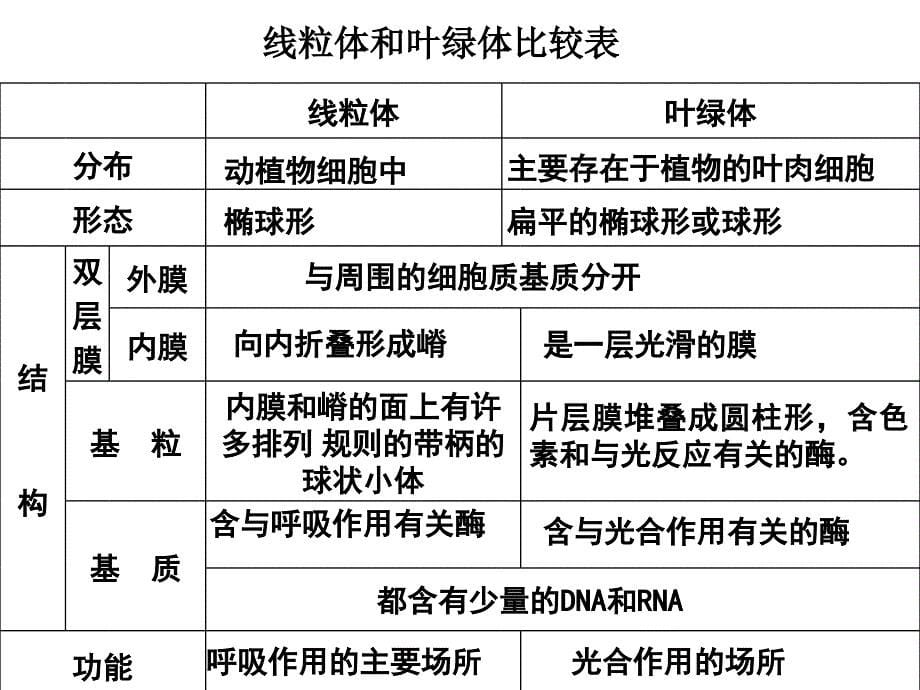 细胞器──系统内的分工合作_第5页