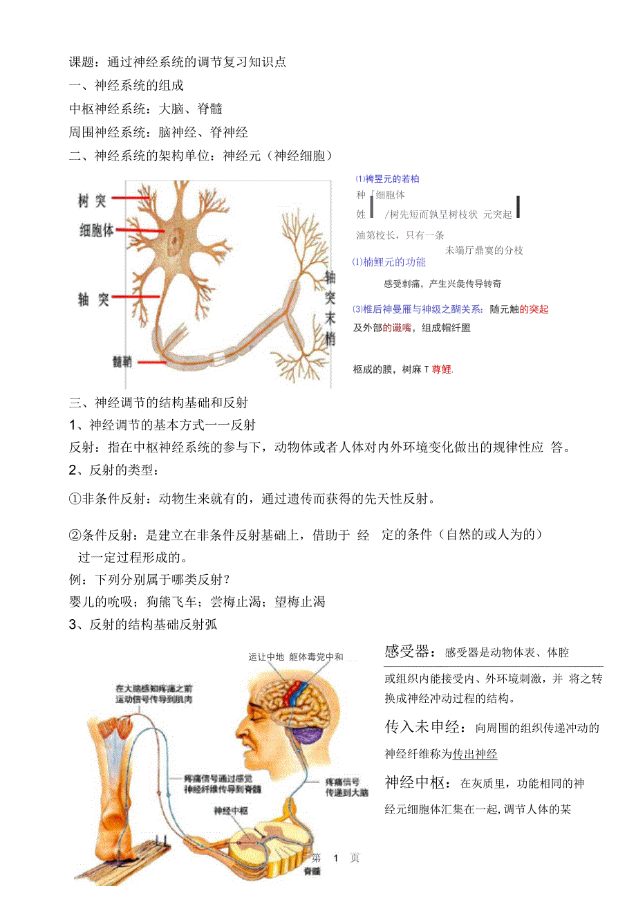 通过神经系统的调节复习知识点_第1页