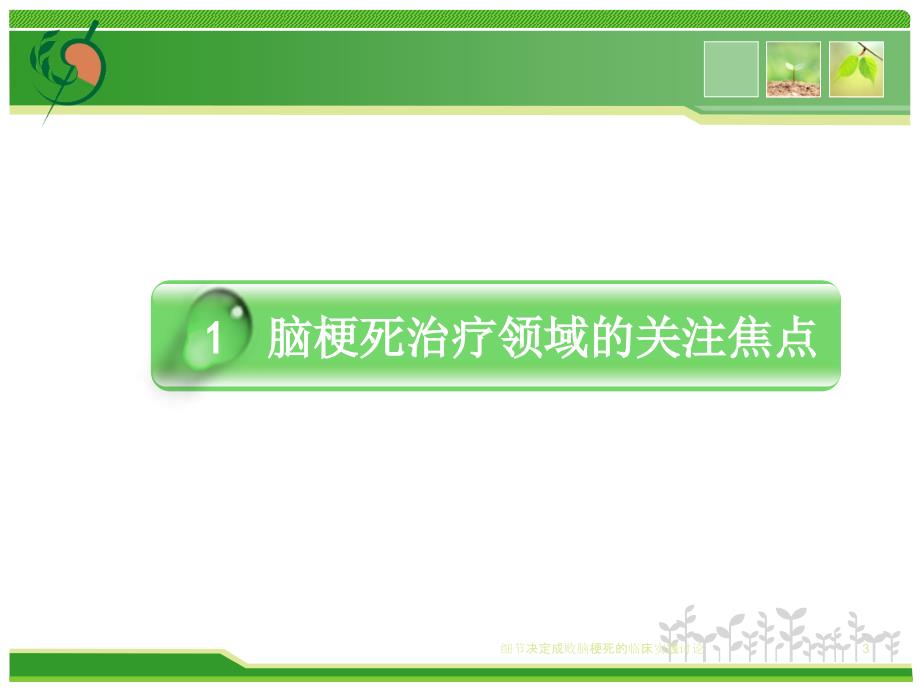 细节决定成败脑梗死的临床实践讨论课件_第3页